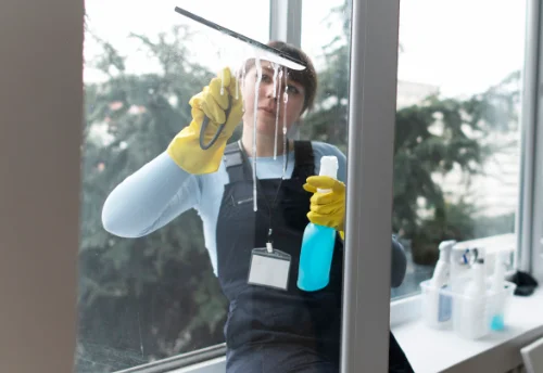 Nettoyage de vitres intérieures et extérieures à Saint-Étienne-de-l'Olm